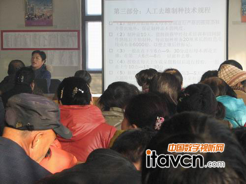 段麗慧在職工培訓班上講課