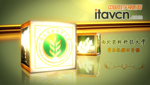 精品公開課錄制