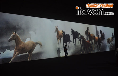項(xiàng)目探訪