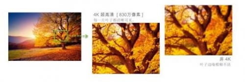 4Kֱʘ˜ʣY(ji)TI XPR g(sh)ṩ^830fЧأ׌(ji)F(xin)