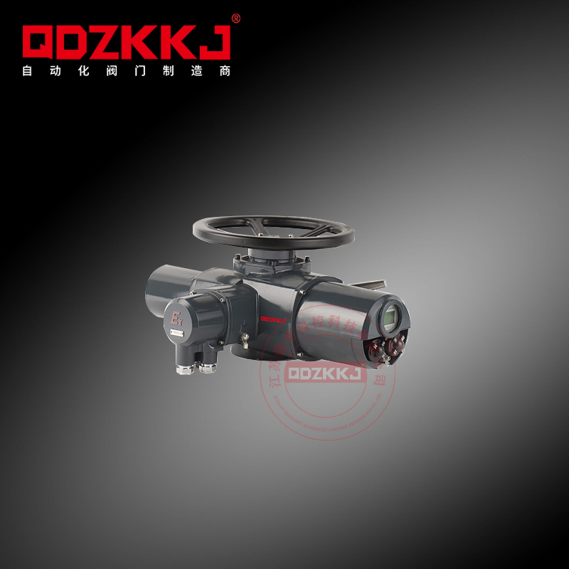 多回轉(zhuǎn)電動(dòng)執(zhí)行器 QD-Z30