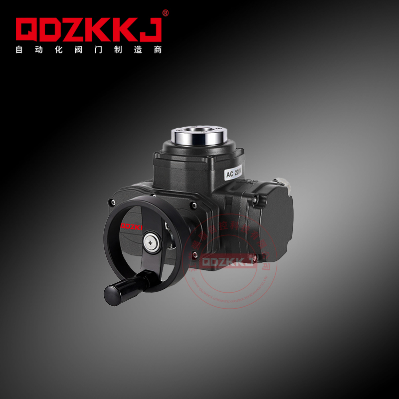 防爆電動執(zhí)行器 QD-EX05