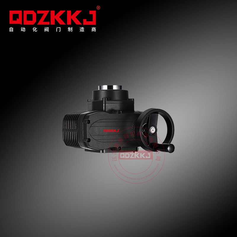防爆電動執(zhí)行器 QD-EX20